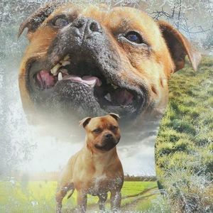 Meet your Posher, Joan